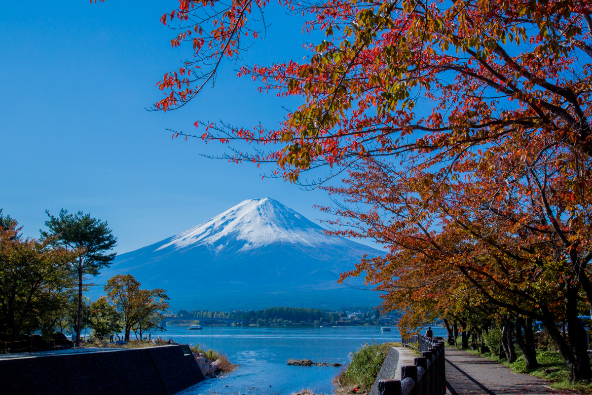 秋の富士山と河口湖