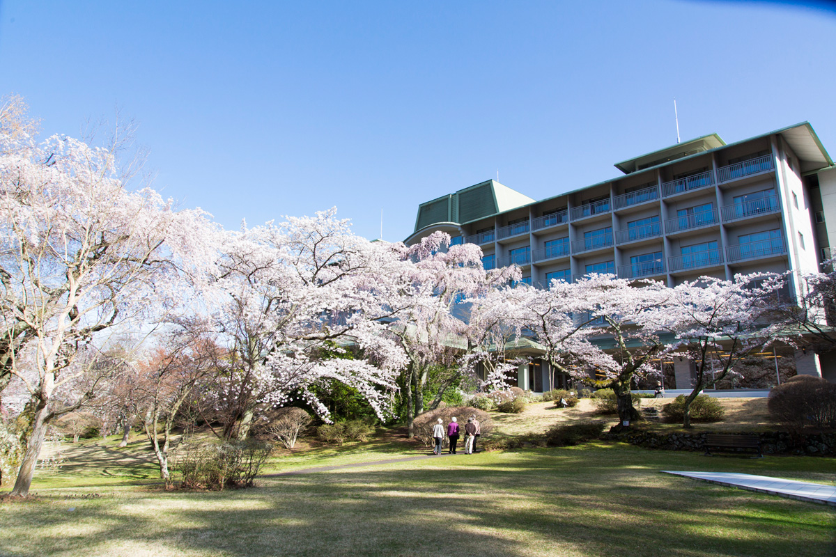 春の庭園の様子 