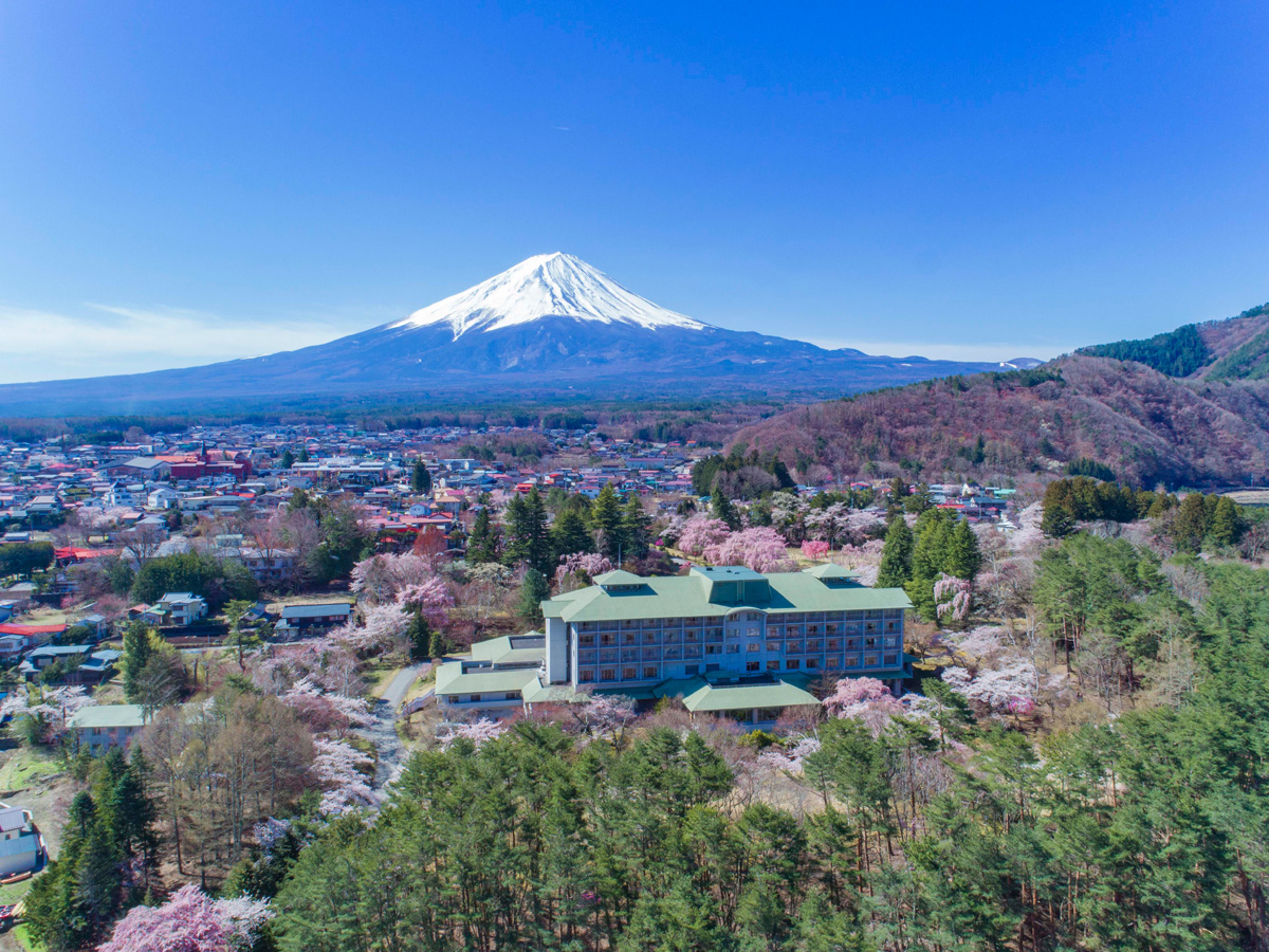 ホテルを囲むように咲く桜と富士山