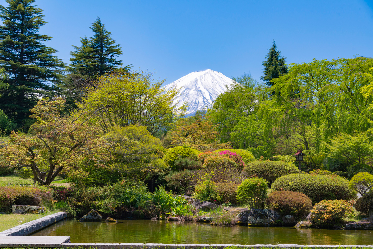 正面玄関からの富士山と庭園